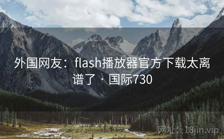 外国网友：flash播放器官方下载太离谱了 · 国际730  第2张