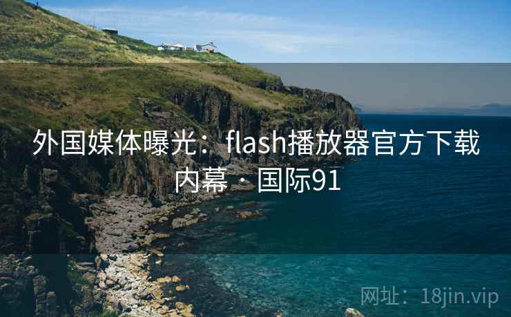 外国媒体曝光：flash播放器官方下载内幕 · 国际91